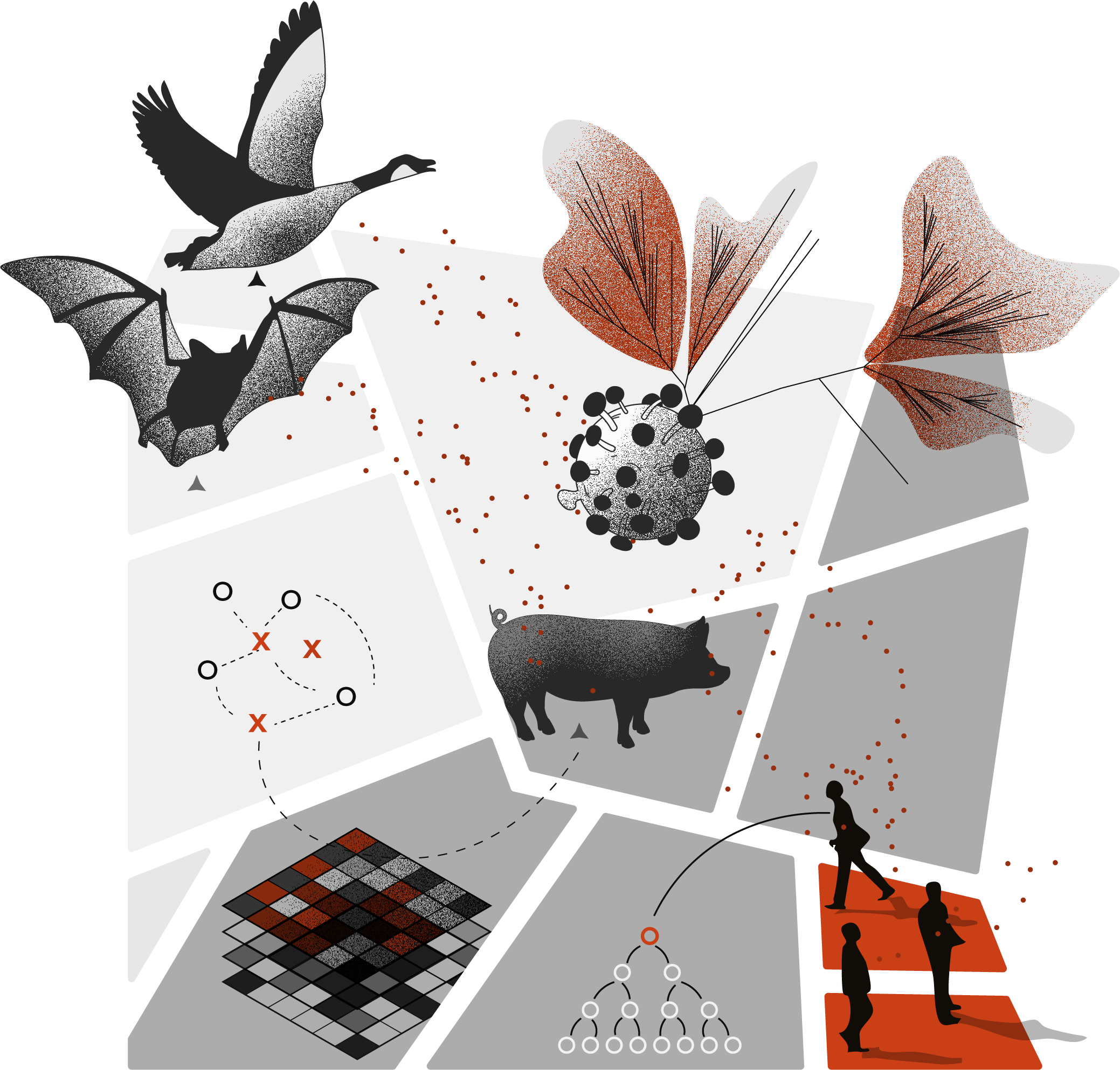 Viral epidemiology PETAL 